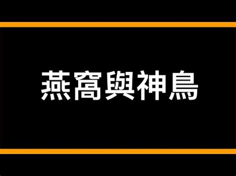 撿到燕子代表什麼|燕子代表吉祥，但燕子與我們的關係你知道嗎？